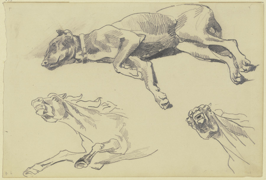 Studienblatt: Die Dogge Cäsar, auf der Seite liegend nach links, schlafend; darunter zwei Pferdestud from Wilhelm Trübner