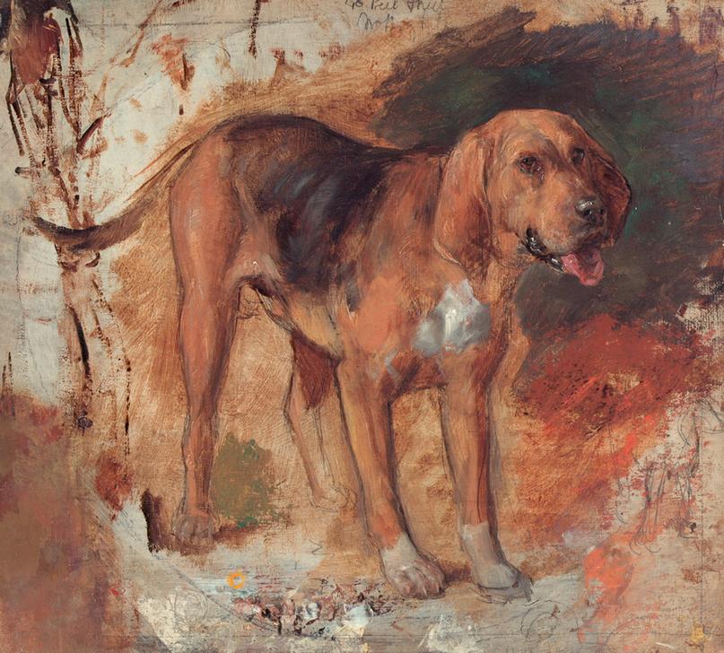 Study of a bloodhound (Studie eines Bluthundes od. Schweißhundes) from William Holman Hunt
