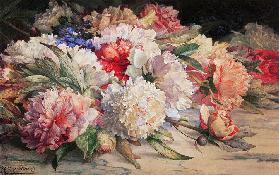 Peonies, 1892 (pencil, w/c, heightened with white & gum arabic on