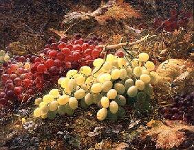 Grapes