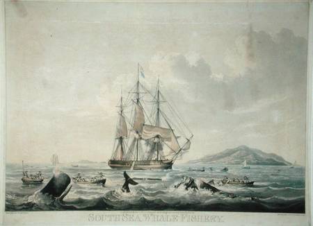 South Sea Whale Fishery, engraved by T. Sutherland from William John Huggins