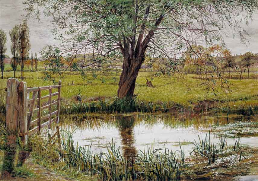 Water Meadow from William Scott