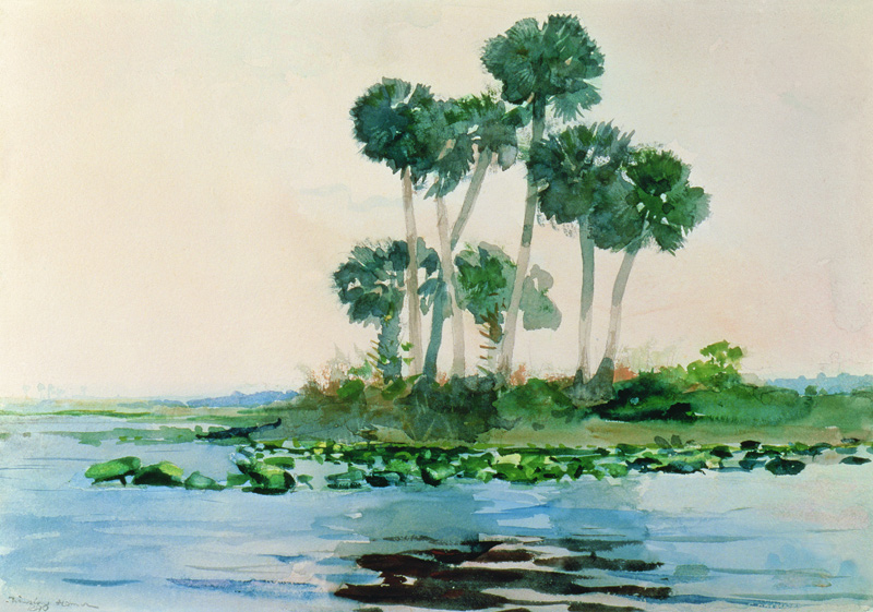 St. John's River Florida from Winslow Homer
