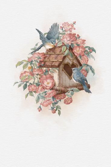 Bird House and rose