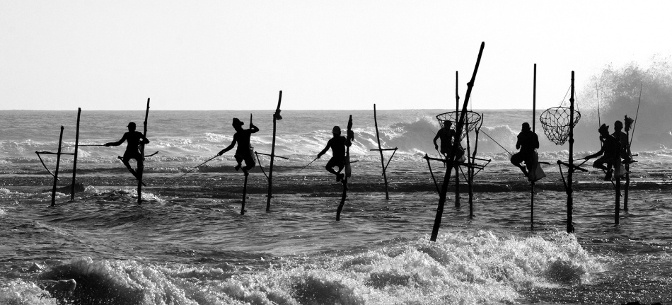 The Stick Fishermen from Yaniv Guy