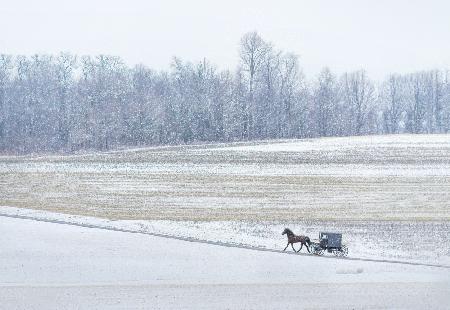 Amish Village