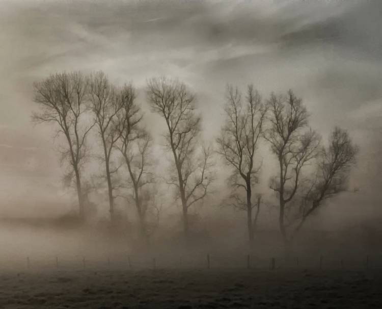 How nature hides the wrinkles of her antiquity under morning fog and dew from Yvette Depaepe