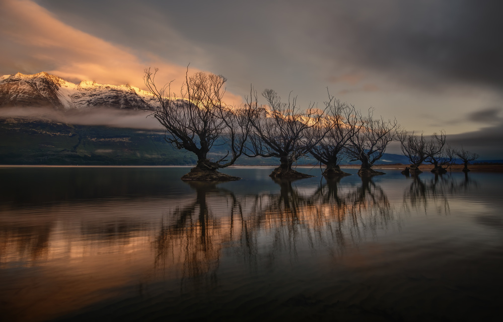 The Glenorchy Willow Trees from YY DB