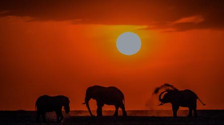 Sunset at Kenya